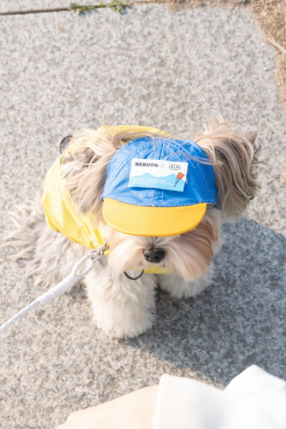 악세사리 모델 착용 이미지-S2L11