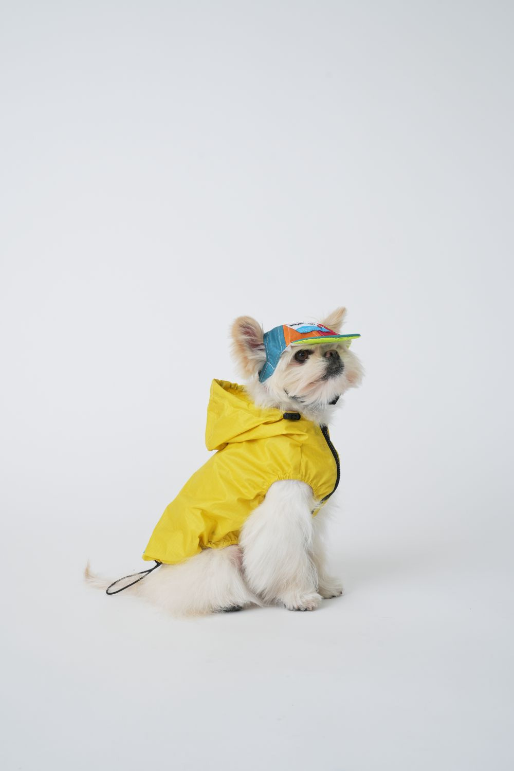 악세사리 화이트 색상 이미지-S2L7