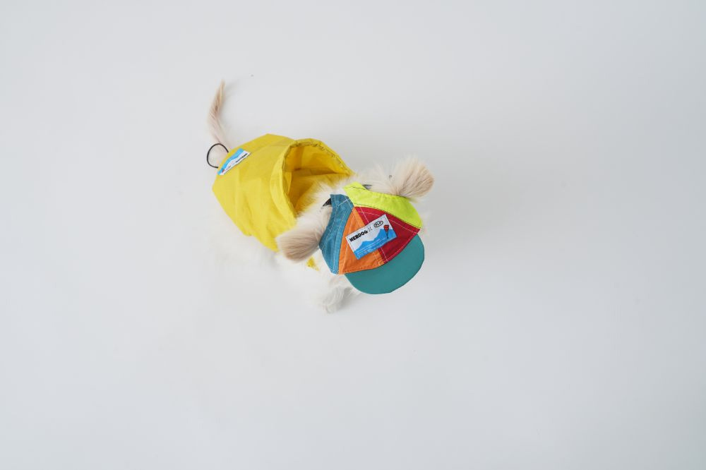 악세사리 모델 착용 이미지-S2L6