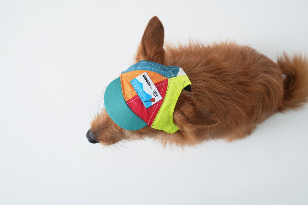 악세사리 브라운 색상 이미지-S2L16