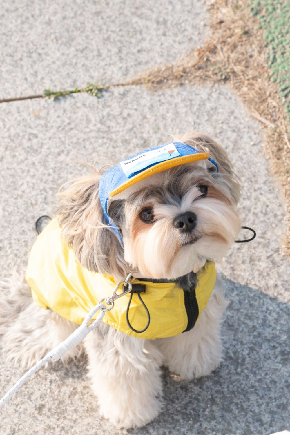 악세사리 화이트 색상 이미지-S2L9