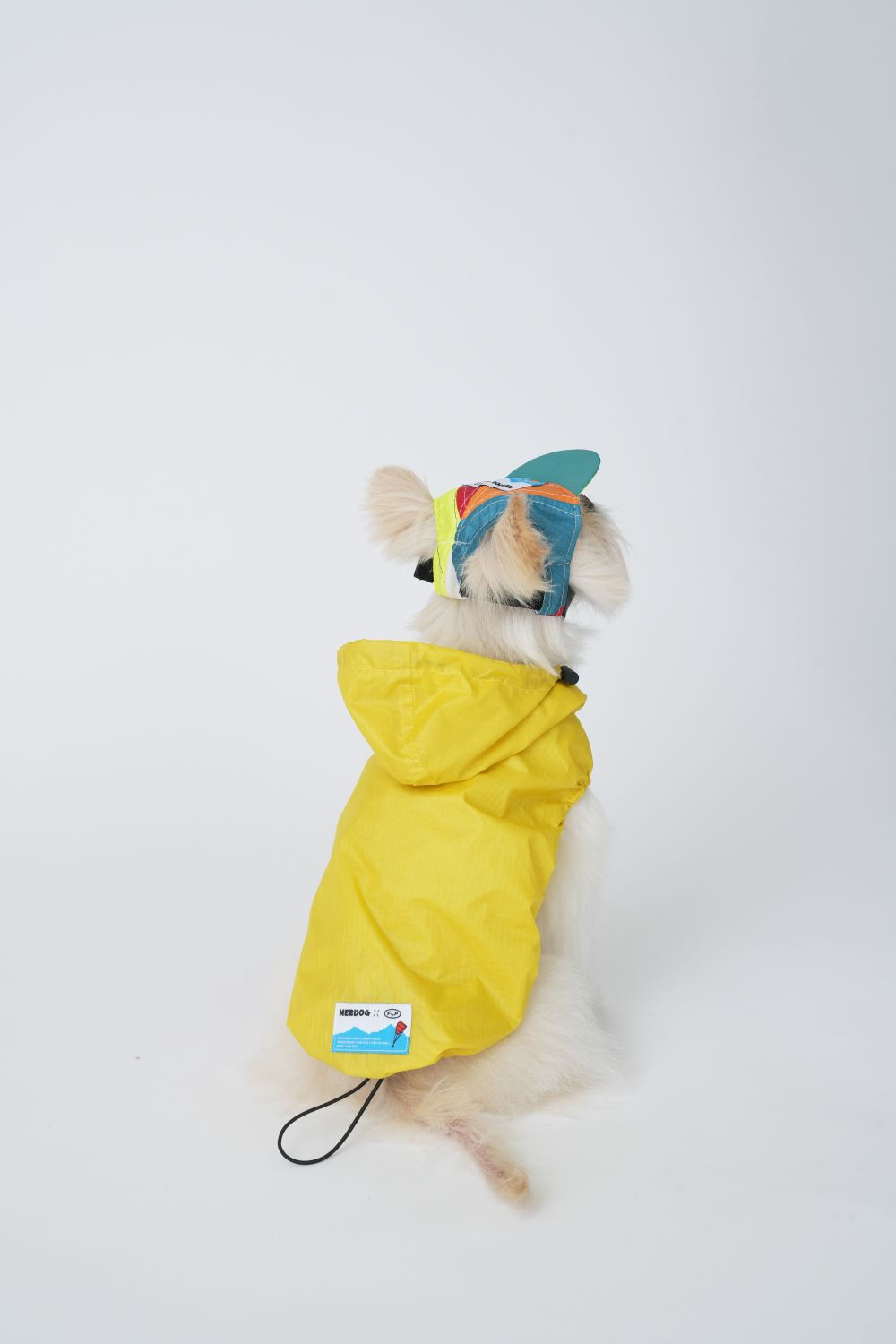 악세사리 모델 착용 이미지-S2L10