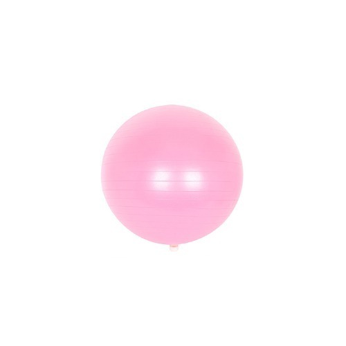 안티버스트 짐볼65cm - Light Pink