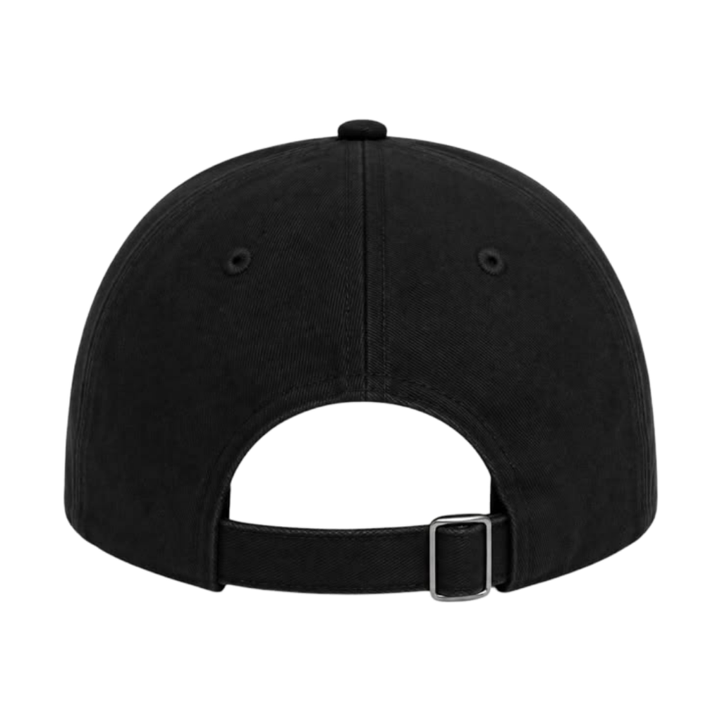 PPR LOGO CAP image 2