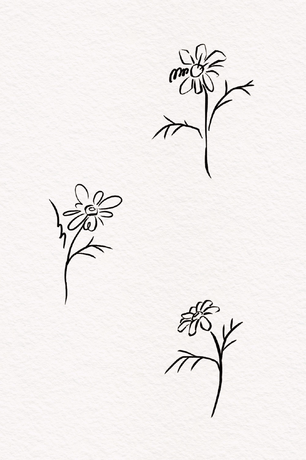 (242) 난춘(爛春) - 따뜻한 봄 (2EA)