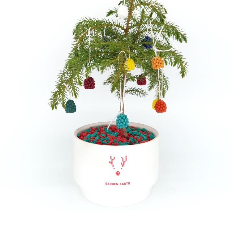 Christmas Rudolf Pot [한정수량]