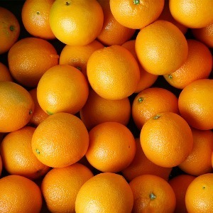 오렌지,오랜지,블랙라벨오렌지,블랙라벨,퓨어스팩오렌지,퓨어스펙,고당도오렌지,오렌지블랙라벨