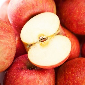 사과5KG,꿀사과,부사사과,맛있는사과,사과판매,햇사과,사과추천,부사사과5KG,가정용사과,사과부사,정품사과5KG