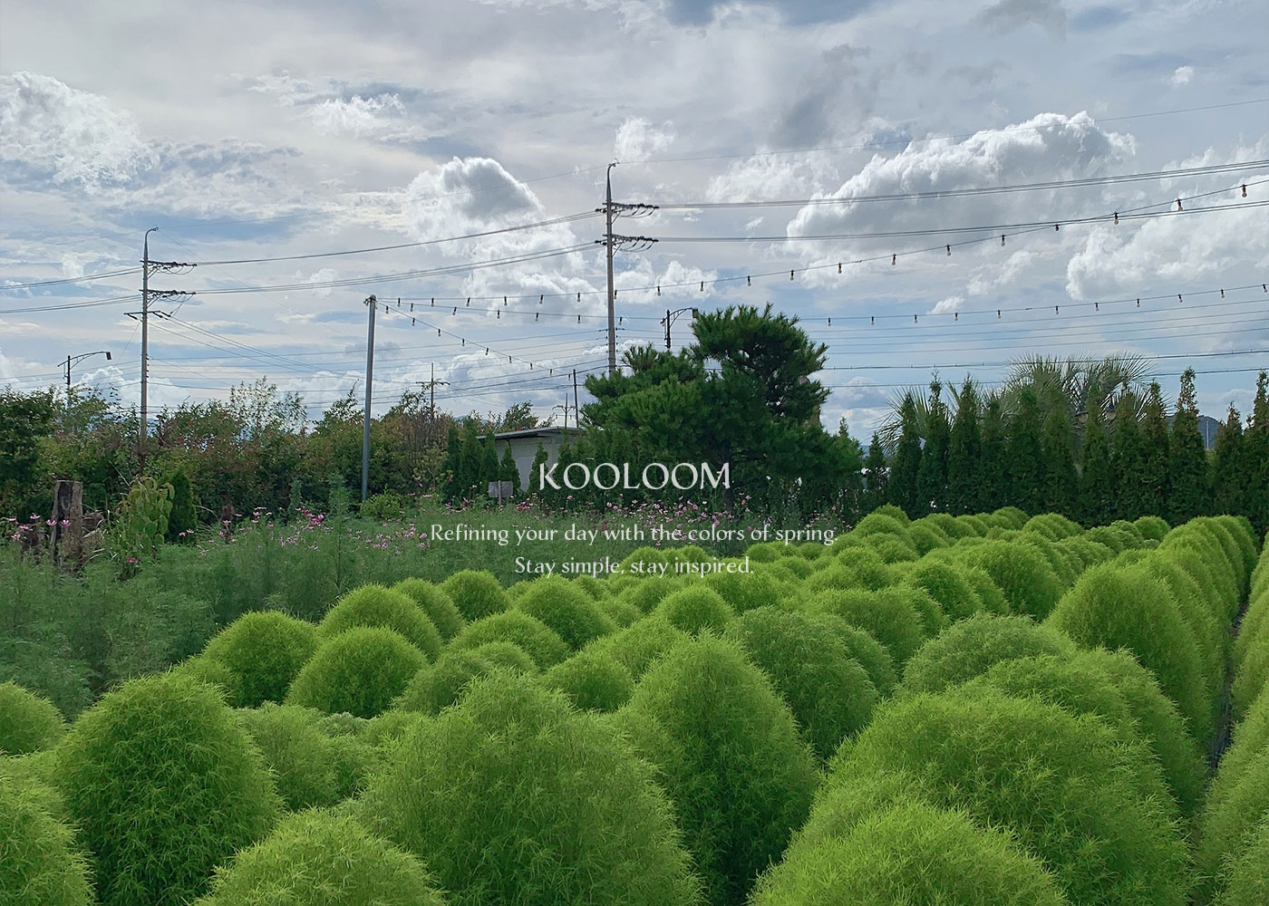 KooLoom