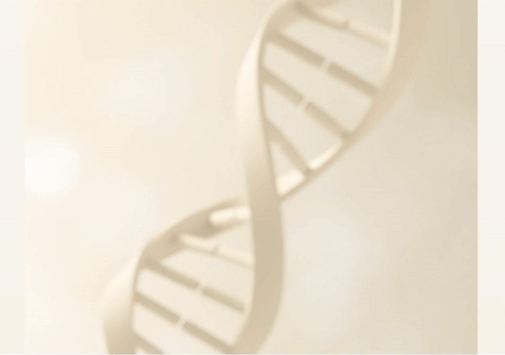 화장품 상품상세 이미지-S2L25