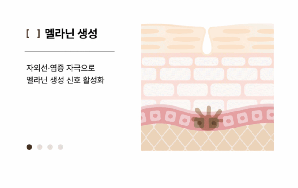 악세사리 상품 이미지-S23L2
