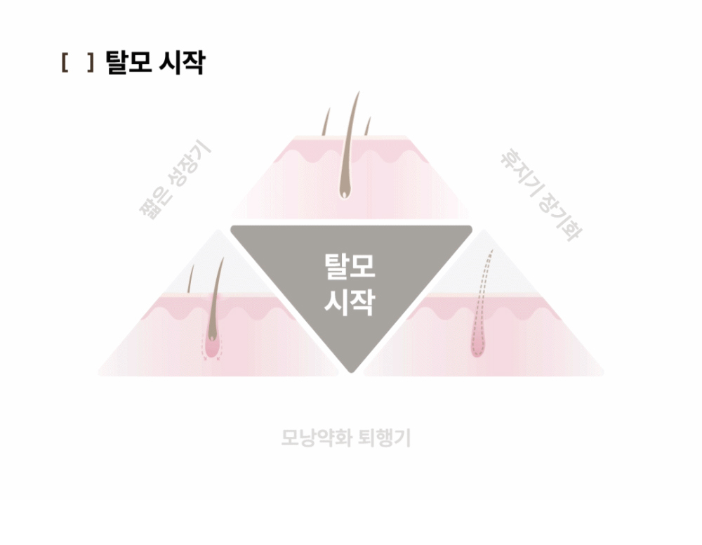 Korean pharmacy PDRN scalp serum hair density