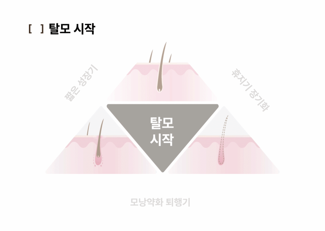 Korean pharmacy PDRN scalp serum hair density