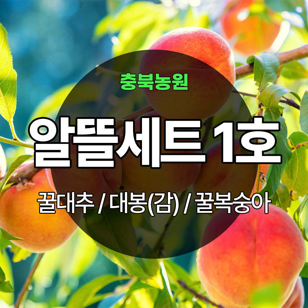 [기본배송] 알뜰세트 1호 - 꿀대추/대봉(감)/꿀복숭아
