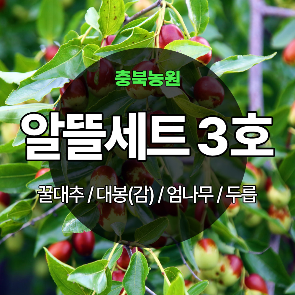 [기본배송] 알뜰세트 3호 - 꿀대추/대봉(감)/엄나무/참두릅