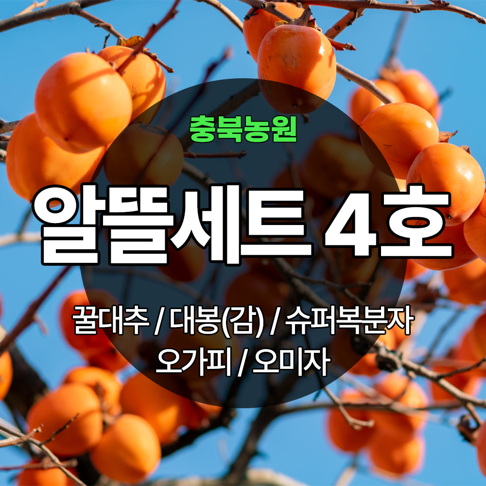 [기본배송] 알뜰세트 4호 - 꿀대추/대봉(감)/슈퍼복분자/가시오가피/오미자
