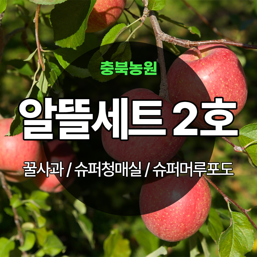 [기본배송] 알뜰세트 2호 - 꿀사과/슈퍼청매실/슈퍼머루포도