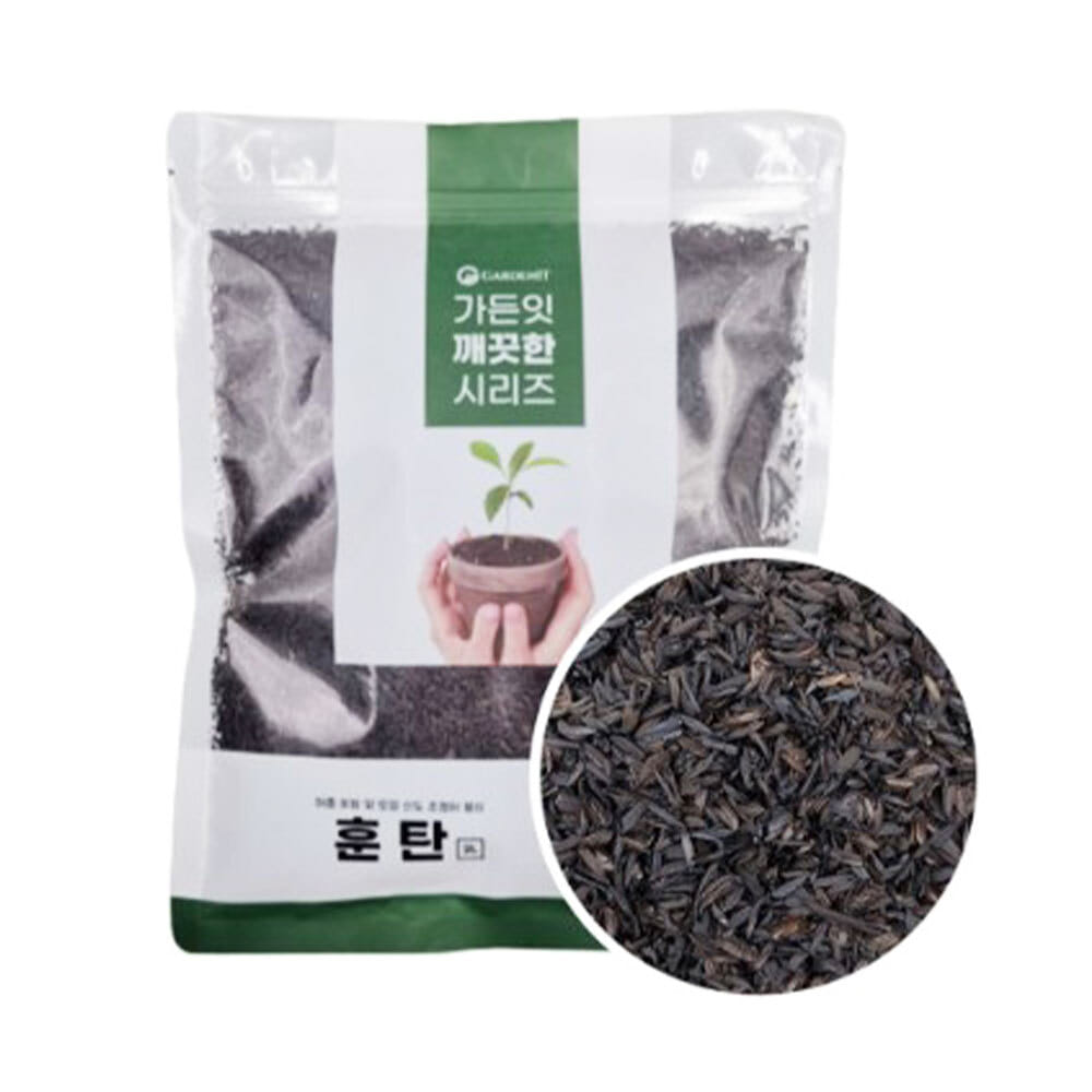 기본배송] 조형 주목 주목나무 묘목 - 포트묘 & 분묘 | 충북농원영농조합법인