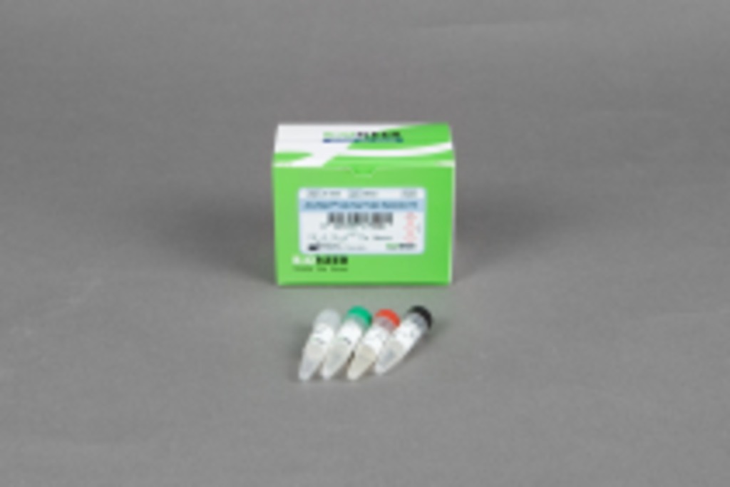 AccuRapid™ Cell-Free Protein Expression Kit - 노보텍(NOVO TECH)
