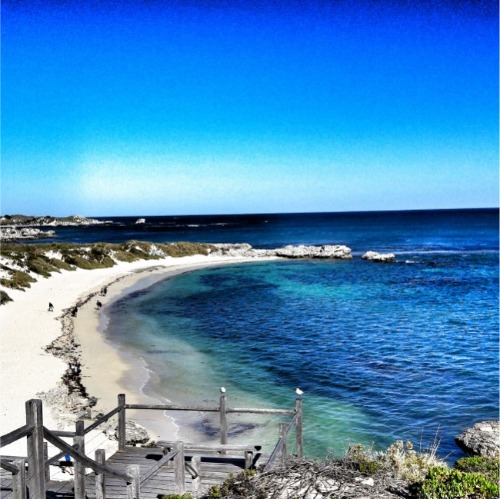 Busan - Adelaide (SIT)