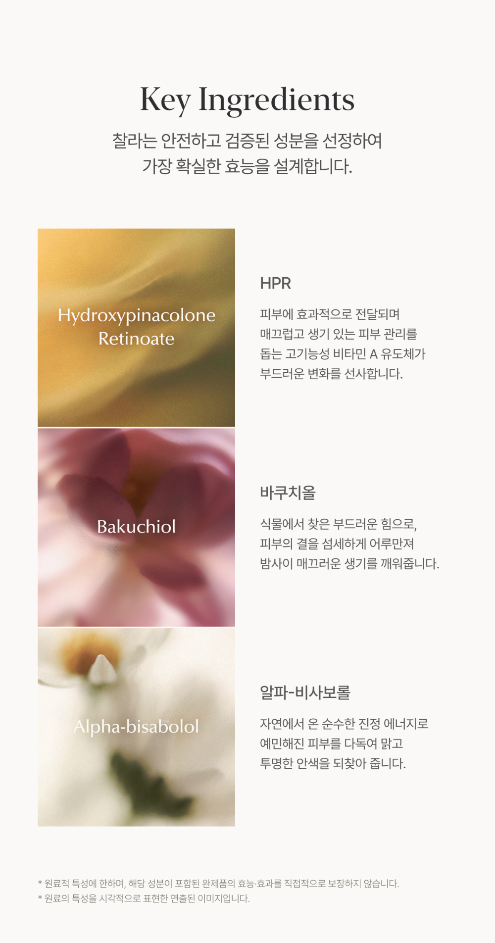 화장품 상품 이미지-S5L12