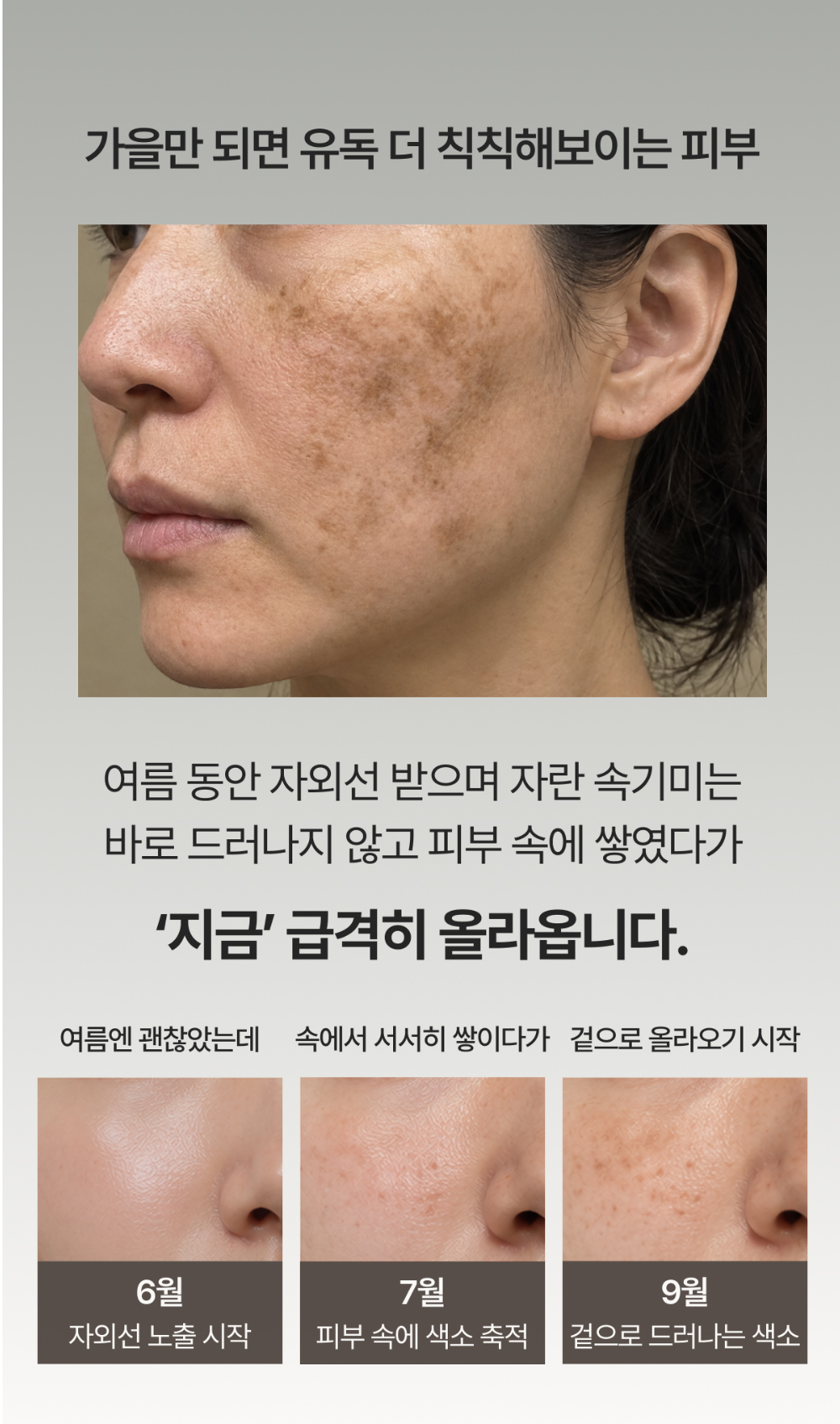 화장품 -S25L7