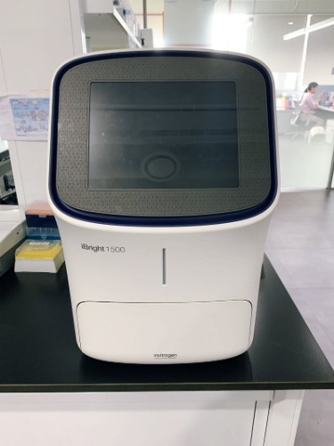[판매완료] iBright CL1500 - Universal Bio Korea