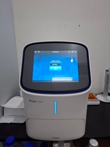 [판매완료] iBright CL1500 - Universal Bio Korea