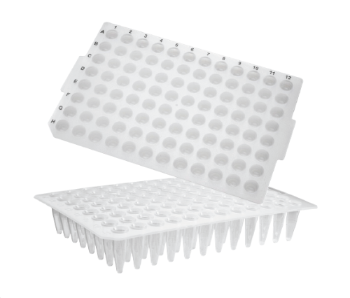96-well PCR Microplates_ No Skirt, Flat Top (96 PCR 플레이트_AX.PCR-96-FLT-C)
