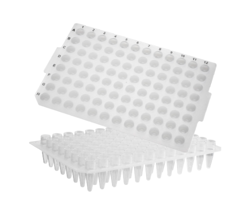 96-well PCR Microplates_ No Skirt, Elevated Wells (96 PCR 플레이트_AX.PCR-96-C)