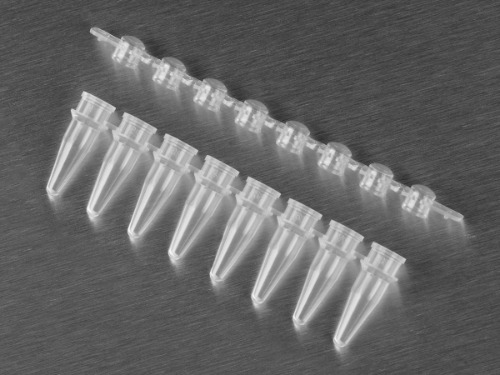 0.2ml 8-Strips PCRⓇ Tubes &amp; Caps (PCR 8스트립 튜브&amp;캡_AX.PCR-0208-)