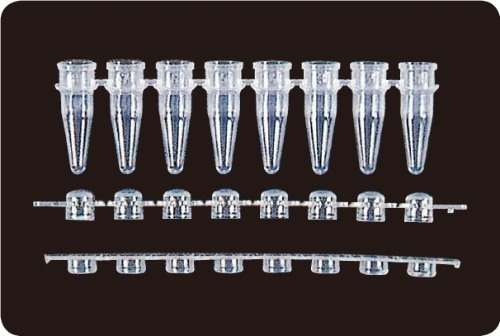 0.1ml 8-Strips PCRⓇ Caps &amp; Tubes (PCR 8 스트립 튜브_AX.PCR-0108-LP- )