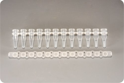 0.2ml 12-Strips PCRⓇ Tubes with Flat cap (PCR 12 스트립 튜브)