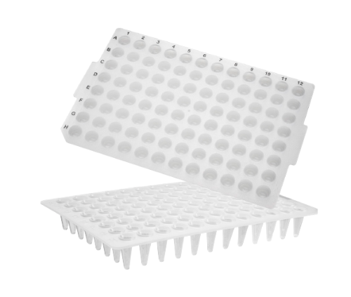 96-well PCR Microplates_No Skirt, Flat Top, Low Profile (96 PCR 플레이트_AX.PCR-96-LP-FLT-C)