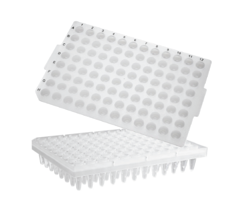 96-well PCR Microplates(96 PCR 플레이트_AX.PCR-96-SG-C)