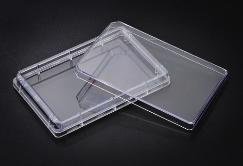 SPL Cell Culture Tray Plate