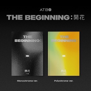 ATBO,The Beginning