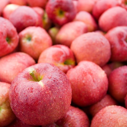 가정용 홍로사과 상품 이미지