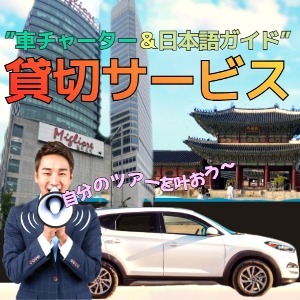 RV-05「車チャーターと日本語ガイド」貸切サービス(5時間）