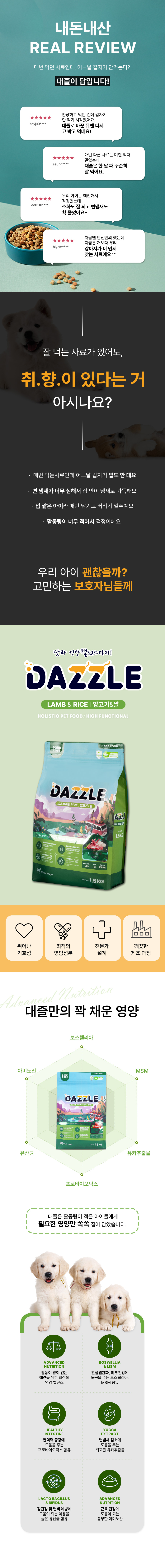 dazzle_allstage_05.jpg