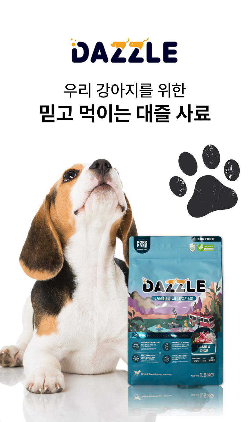 dazzle_small_01.jpg