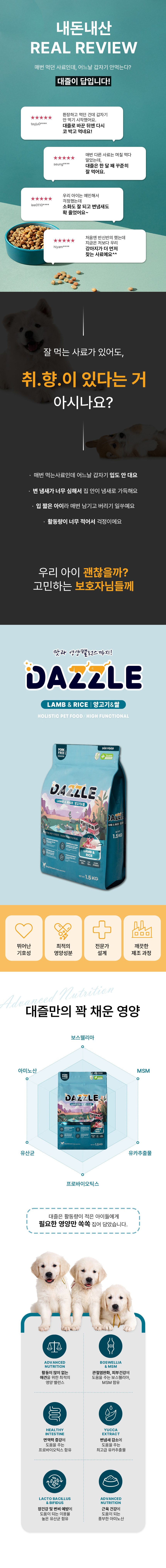 dazzle_small_05.jpg