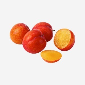 새콤달콤 햇자두1kg