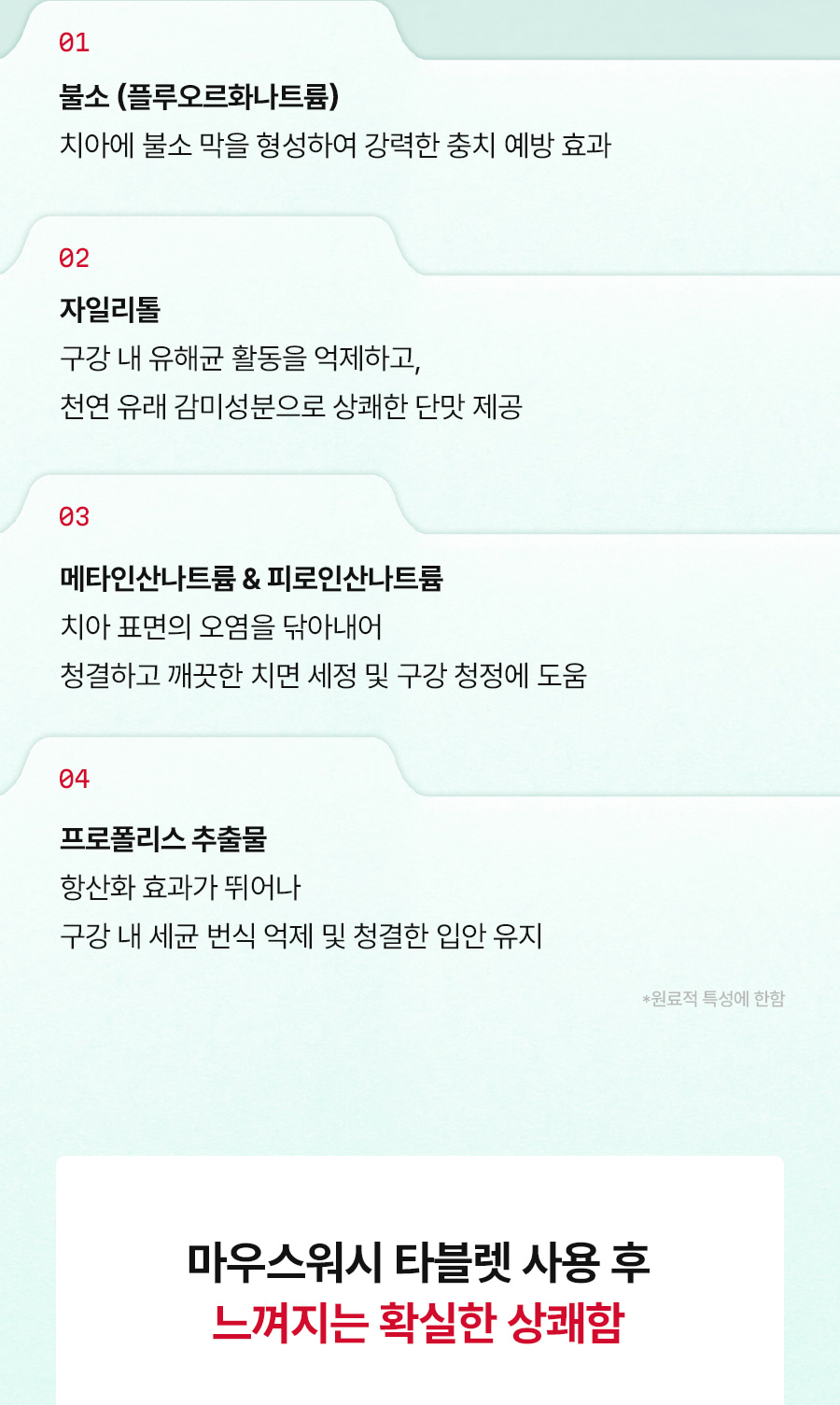 마우스워시 타블렛 민트향