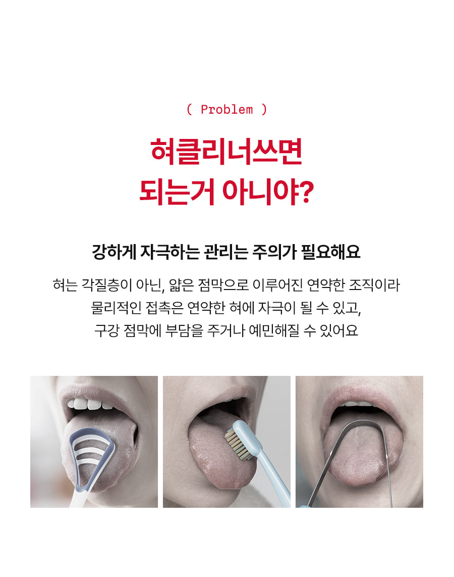 레빗텅 틴트 필름 시그니처 민트