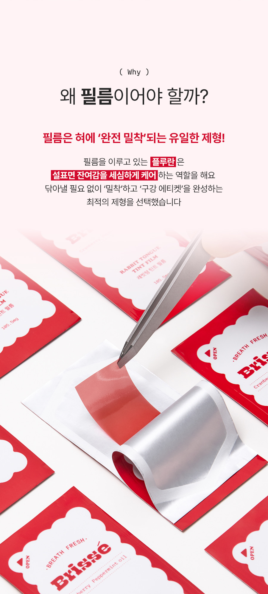 레빗텅 틴트 필름 시그니처 민트