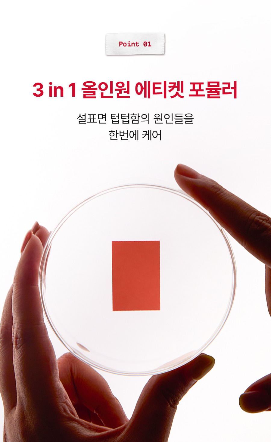레빗텅 틴트 필름 시그니처 민트