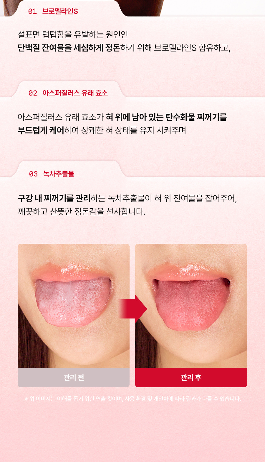 레빗텅 틴트 필름 시그니처 민트