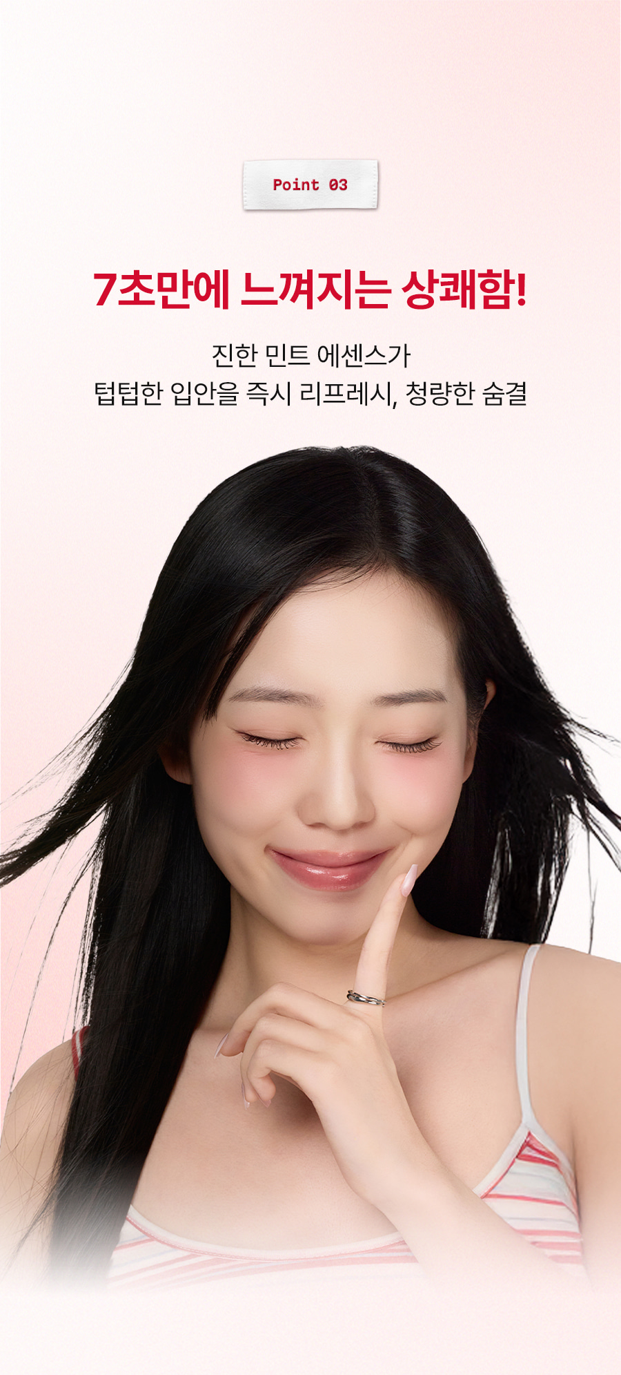 레빗텅 틴트 필름 시그니처 민트