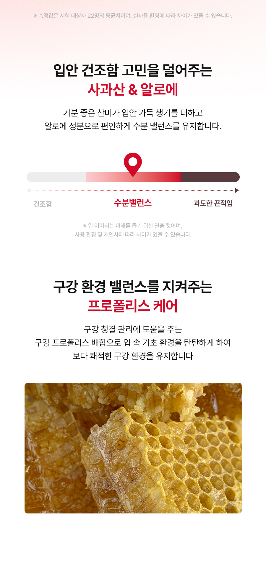 레빗텅 틴트 필름 시그니처 민트
